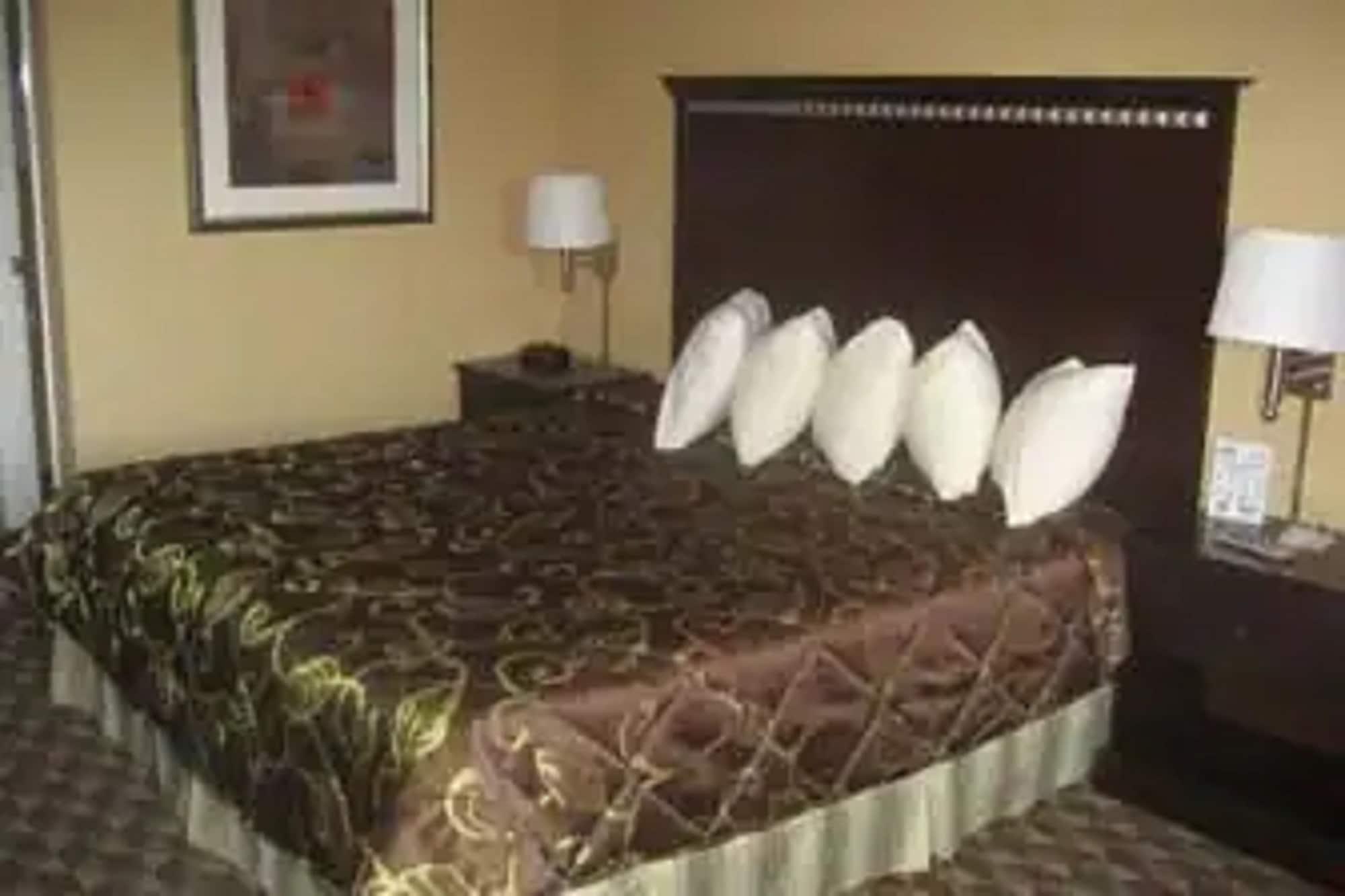 Days Inn By Wyndham Corpus Christi Beach Rom bilde